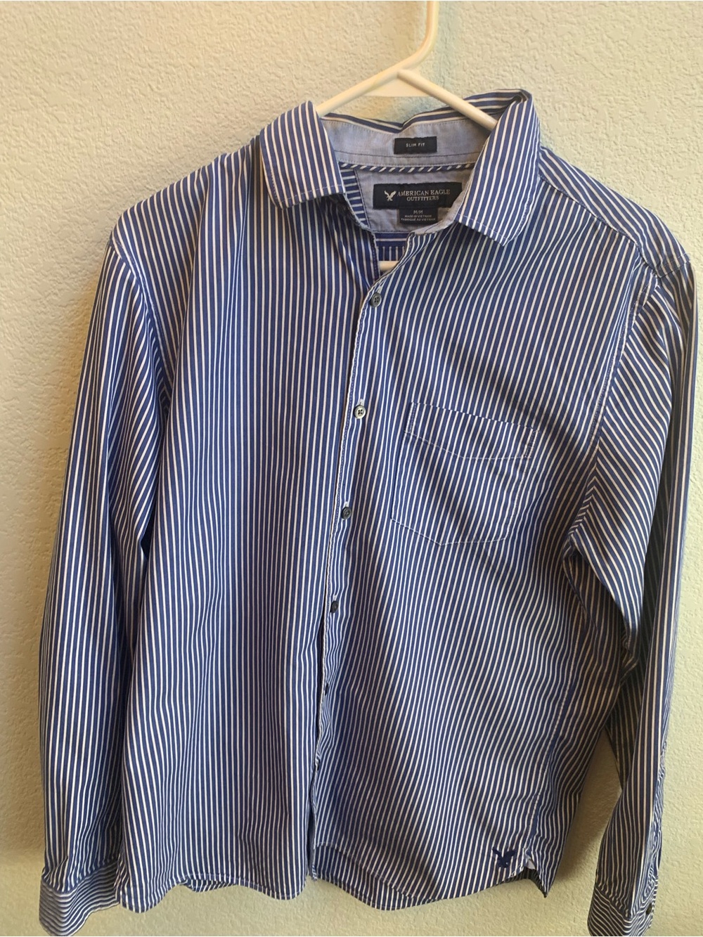 American Eagle Outfitters Blue and White Vertical Stripe Button-Down Shirt